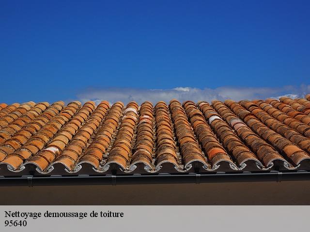 Nettoyage demoussage de toiture 95640