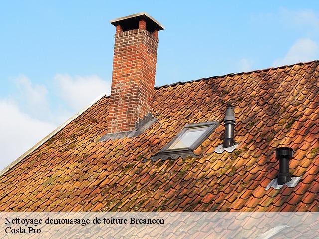 Nettoyage demoussage de toiture breancon-95640 Toiture Costallat