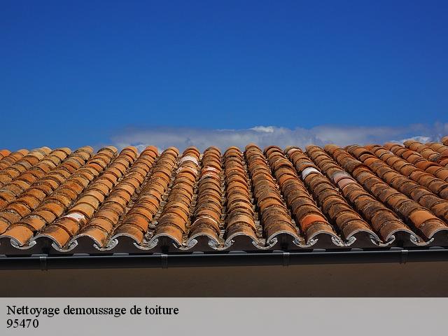 Nettoyage demoussage de toiture 95470