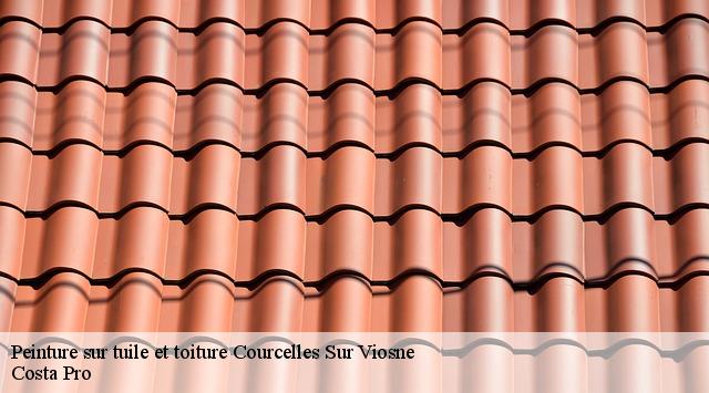 Peinture sur tuile et toiture courcelles-sur-viosne-95650 Toiture Costallat