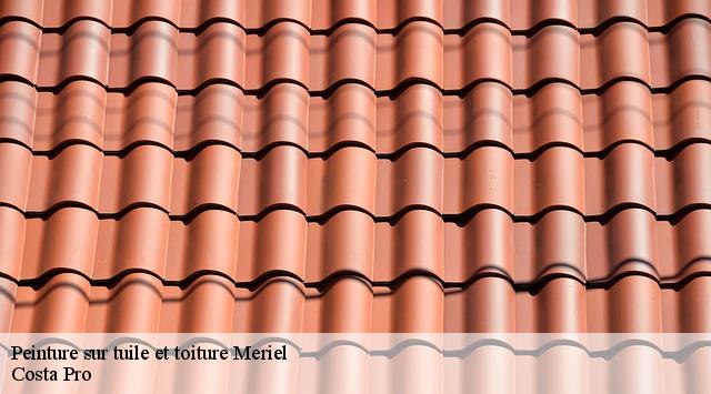 Peinture sur tuile meriel-95630