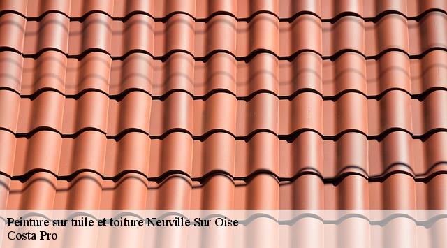 Peinture sur tuile neuville-sur-oise-95000