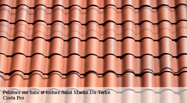 Peinture sur tuile et toiture saint-martin-du-tertre-95270 Toiture Costallat