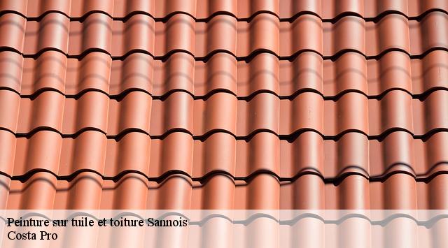 Peinture sur tuile et toiture sannois-95110 Toiture Costallat