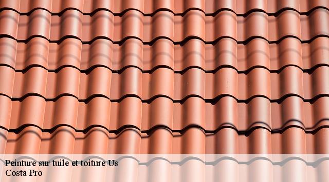 Peinture sur tuile et toiture us-95450 Toiture Costallat