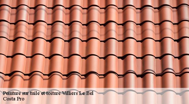 Peinture sur tuile et toiture villiers-le-bel-95400 Toiture Costallat