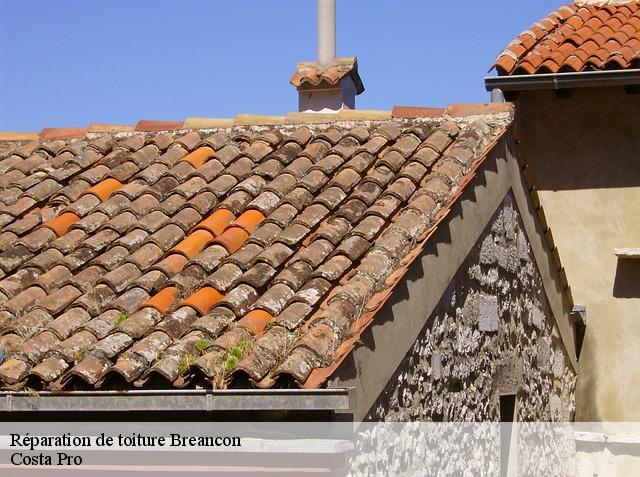 Réparation de toiture breancon-95640 Toiture Costallat
