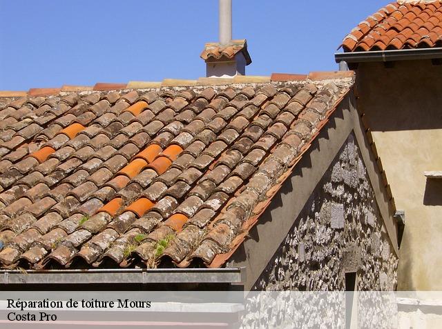 Réparation de toiture mours-95260
