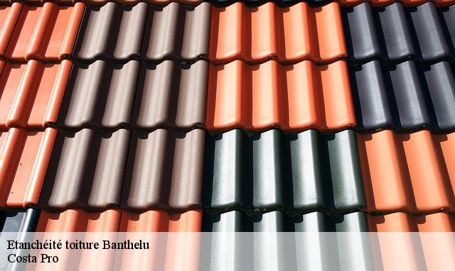 Etanchéité toiture banthelu-95420