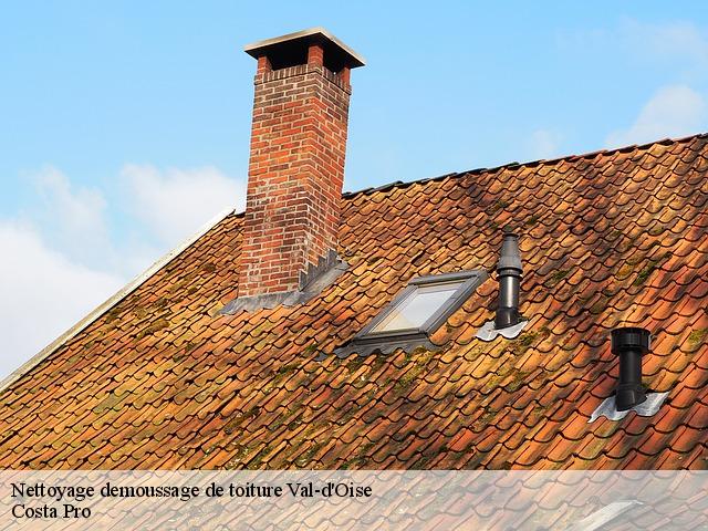 Nettoyage demoussage de toiture 95 Val-d'Oise Toiture Costallat