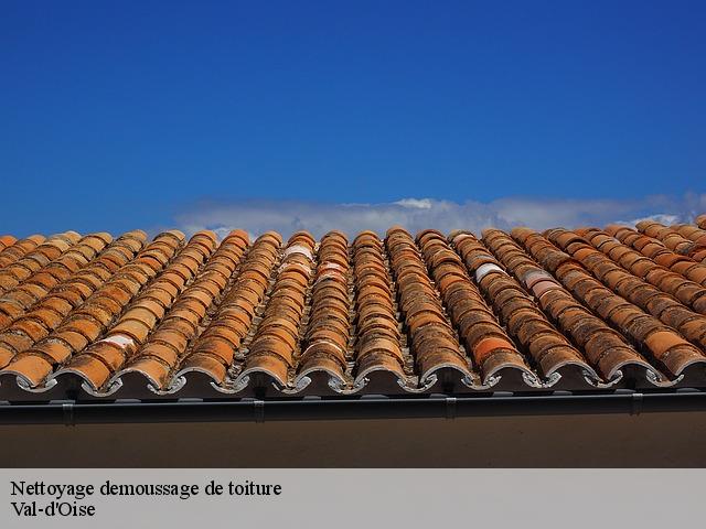 Nettoyage demoussage de toiture Val-d'Oise